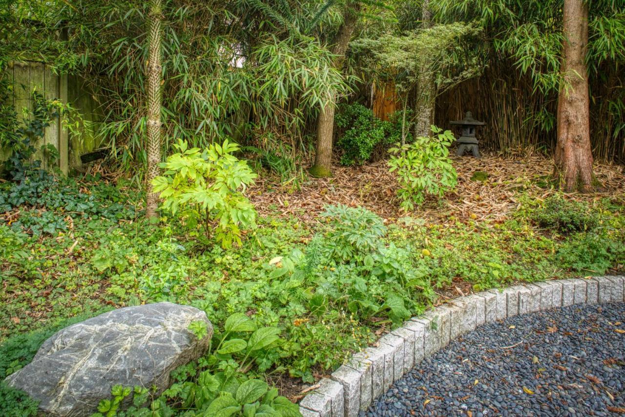 Sehome Garden Inn Bellingham Exterior foto
